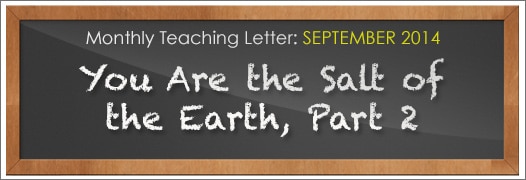 You are the Salt of the Earth, Part 2