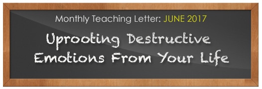 Uprooting Destructive Emotions From Your Life