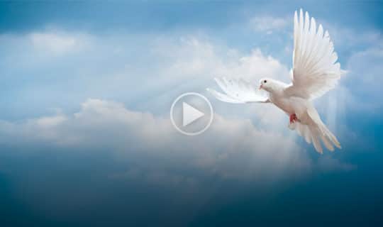 The Gifts of the Holy Spirit: What Are They?