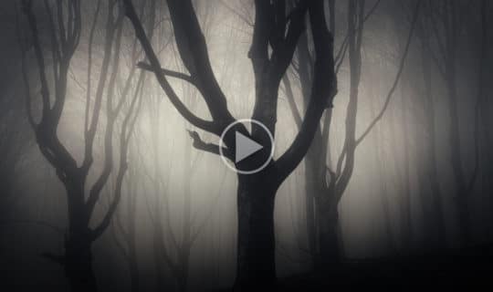 Demonic Infestations