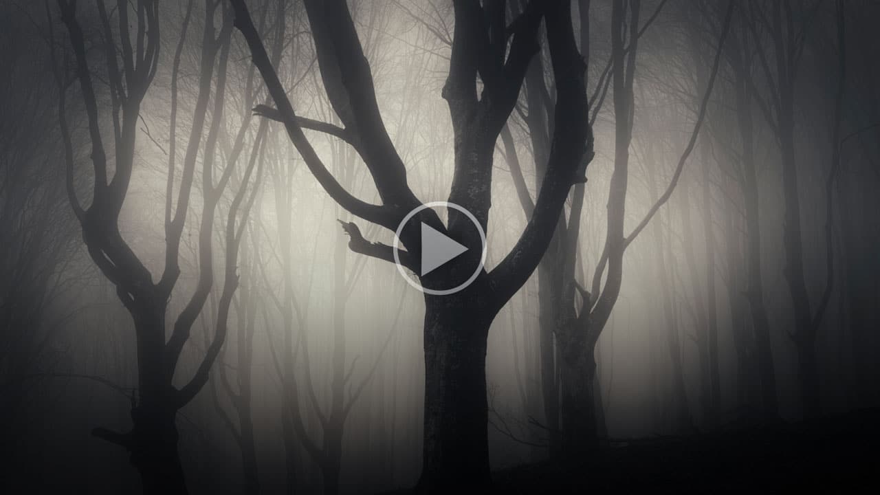 Demonic Infestations Renner Ministries