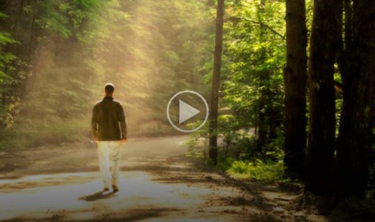 Ablaze With Holiness