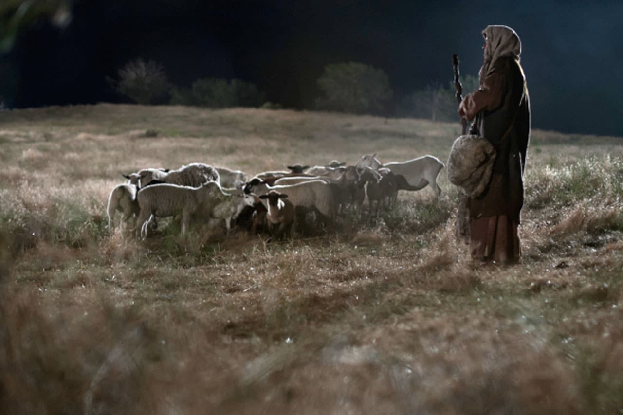 The Shepherds Keeping Watch | Renner Ministries