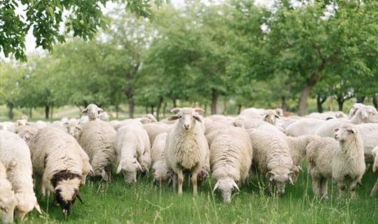 God’s Supernatural Guidance