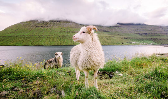 God’s Supernatural Confidence