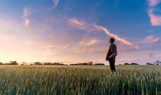 Planning for Tomorrow and the Future