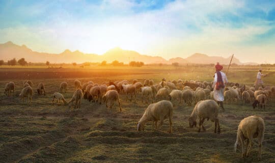 God’s Supernatural Provision