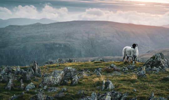 God’s Supernatural Anointing