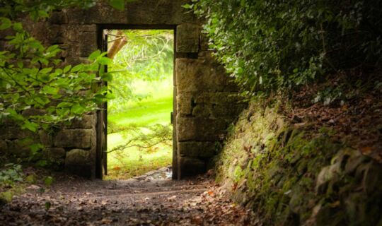 Gatekeeper to the Supernatural