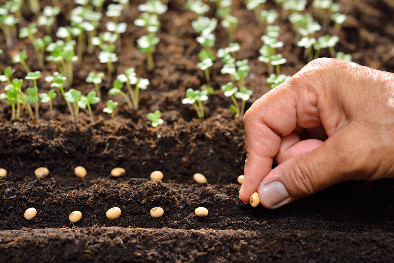 Don't Give Up on Your Seed! | Renner Ministries