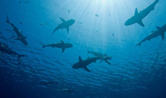 Do Other People’s Opinions Bother You?