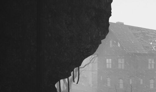 We Do Not War After The Flesh