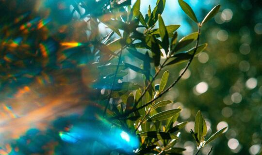 Do You Want to Be Healed?