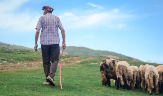 God’s Supernatural Protection