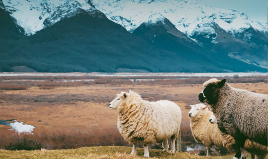 God’s Supernatural Restoration