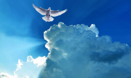 You Are Sealed and Guaranteed by God’s Spirit