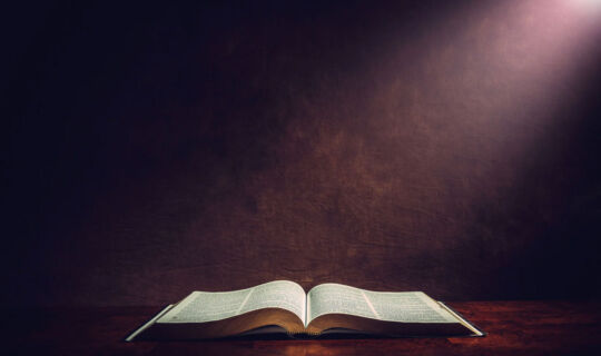 You Are a Brand-New Creature