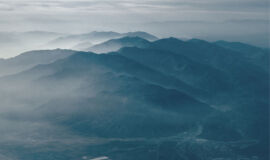 Will You Live Out Your Purpose?