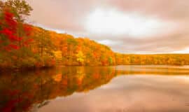 What Are We Thankful For?