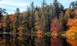 What This Ministry Means to Us