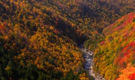 You’re a Vital Part of the Harvest