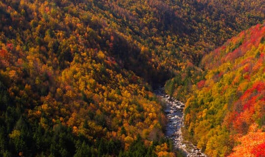 You’re a Vital Part of the Harvest