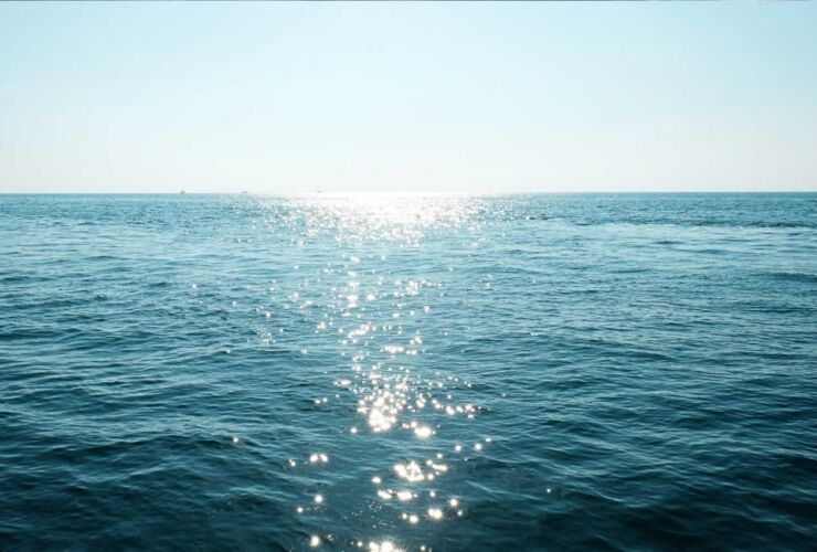 Must You Sacrifice To Stay Afloat?