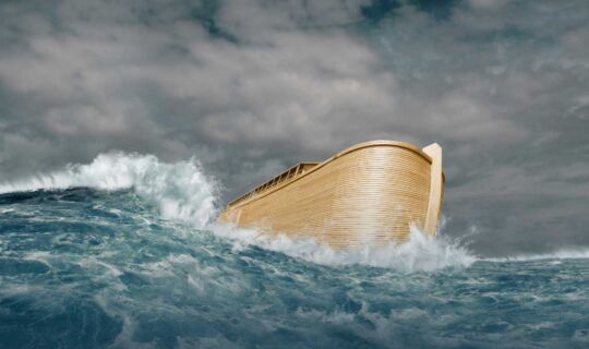 What Happens When You Obey?