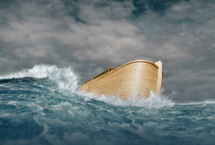 What Happens When You Obey?